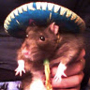 Meet your Posher, Elandra